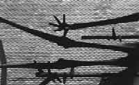 Dachau Sculpture