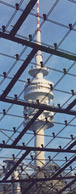 Olympic Tower
