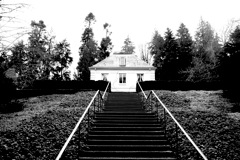 IMG_5169bw