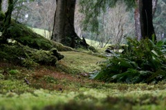 IMG_5088