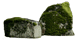 Bloedel Reserve