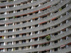 IMG_0196
